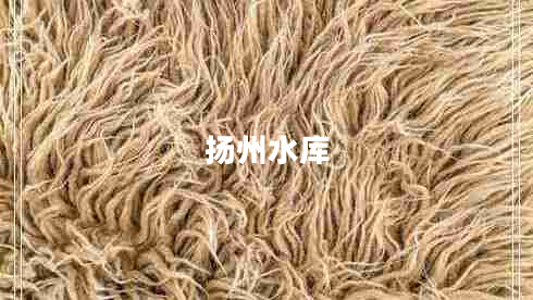 揚(yáng)州水庫(kù) 揚(yáng)州水庫(kù)