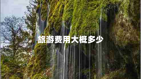 旅游費(fèi)用大概多少 旅游費(fèi)用大概多少