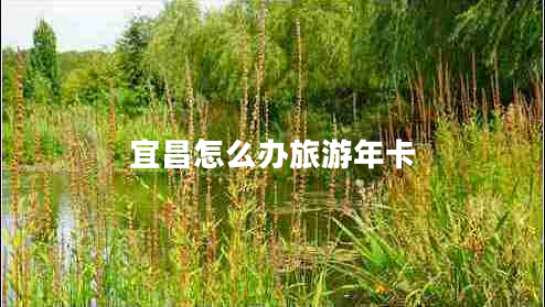宜昌怎么辦旅游年卡 宜昌怎么辦旅游年卡
