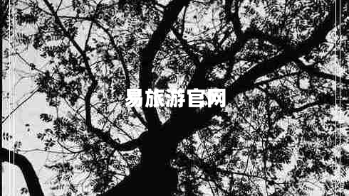 易旅游官網(wǎng) 易旅游官網(wǎng)