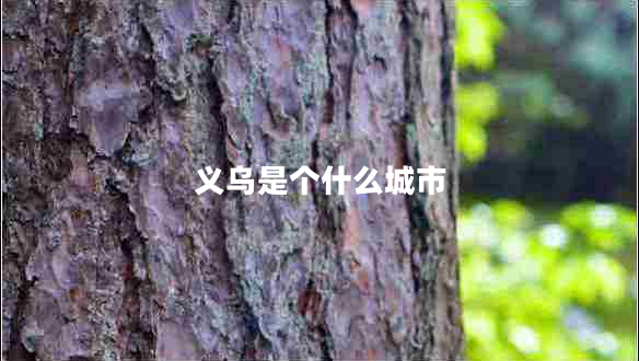 義烏是個什么城市 義烏是個什么城市