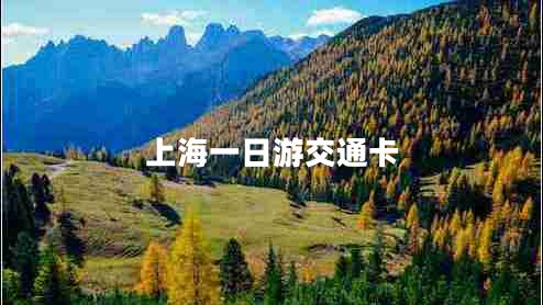 上海一日游交通卡 上海一日游交通卡