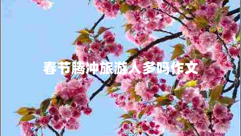 春節(jié)騰沖旅游人多嗎作文