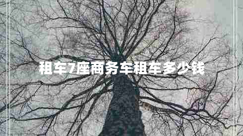 租車7座商務(wù)車租車多少錢