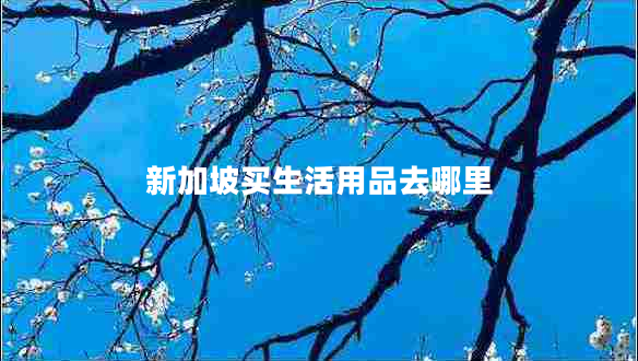 新加坡買(mǎi)生活用品去哪里