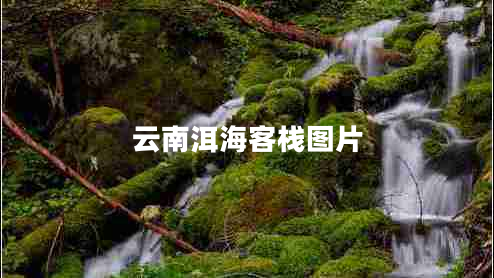 云南洱?？蜅D片