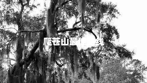 爬蒼山最佳路線