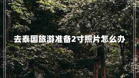 去泰國旅游準備2寸照片怎么辦 去泰國旅游準備2寸照片怎么辦