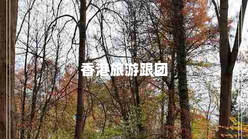 香港旅游跟團 香港旅游跟團