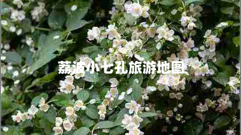 荔波小七孔旅游地圖