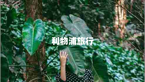 利物浦旅行 利物浦旅行