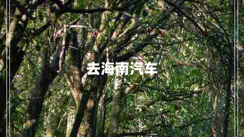 去海南汽車 去海南汽車