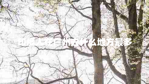 印度人在廣州去什么地方最多 印度人在廣州去什么地方最多