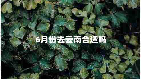 6月份去云南合適嗎 6月份去云南合適嗎