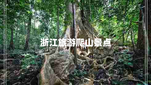 浙江旅游爬山景點 浙江旅游爬山景點