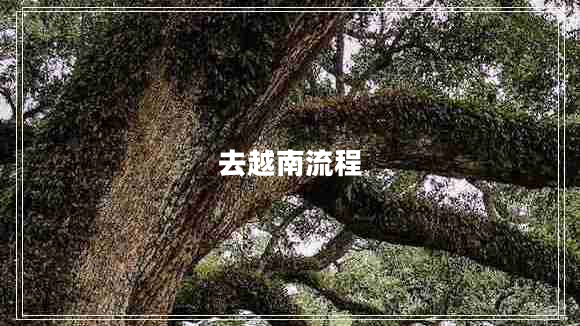 去越南流程 去越南流程