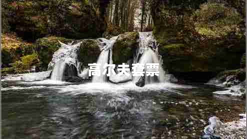 高爾夫套票 高爾夫套票