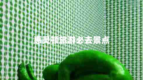 惠靈頓旅游必去景點(diǎn) 惠靈頓旅游必去景點(diǎn)