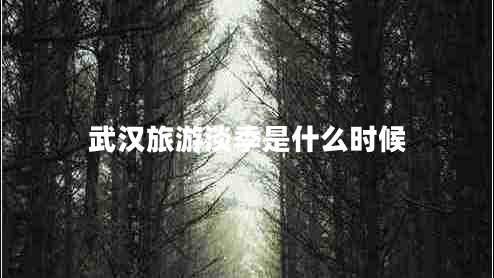 武漢旅游淡季是什么時候