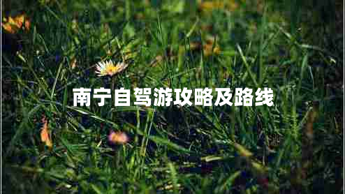 南寧自駕游攻略及路線 南寧自駕游攻略及路線