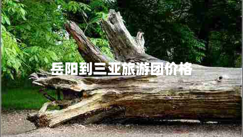 岳陽到三亞旅游團價格 岳陽到三亞旅游團價格