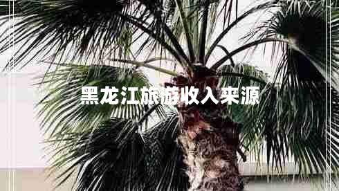 黑龍江旅游收入來(lái)源 黑龍江旅游收入來(lái)源