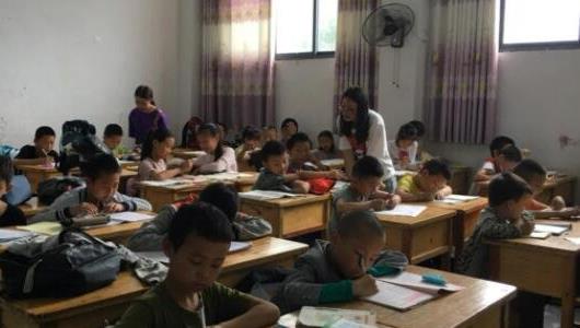 農(nóng)村一個(gè)人單干暴利項(xiàng)目