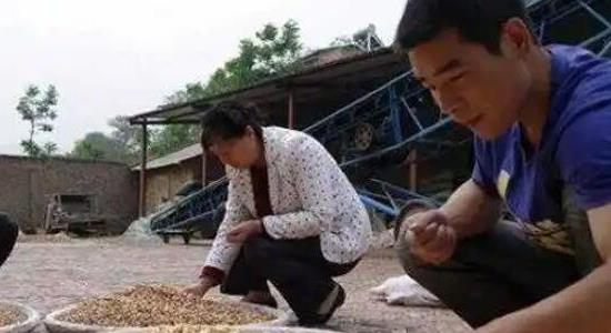 農(nóng)村一個(gè)人單干暴利項(xiàng)目