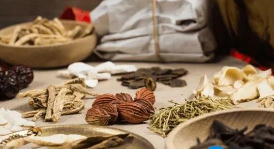 藥材種植業(yè)致富項目有哪些