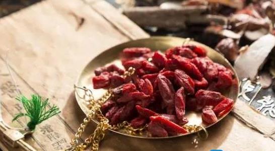 藥材種植業(yè)致富項目有哪些