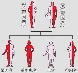 地中海貧血有哪些醫(yī)治方法