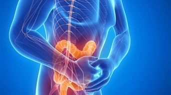 不健康的腸道有哪些方法