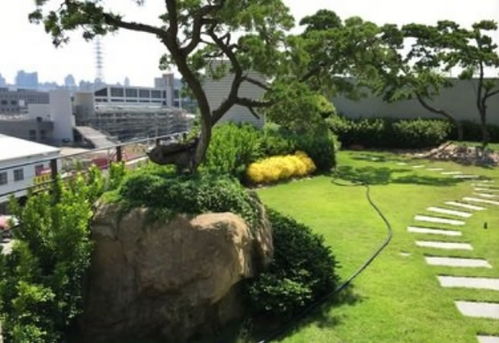 園林養(yǎng)護方法有哪些