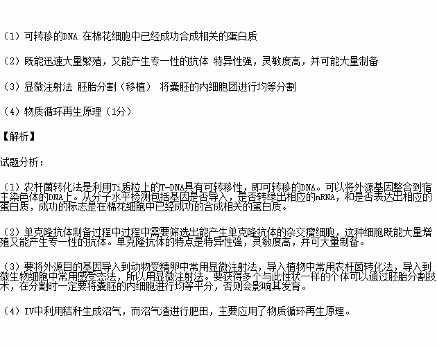 生物工程分析的方法有哪些