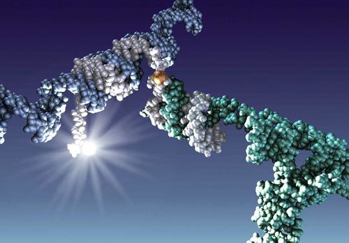 固氮有哪些方法