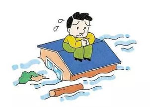 洪水來臨時(shí)你能想出哪些自救的方法