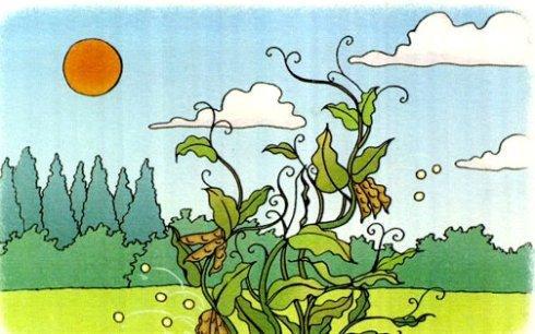 植物媽媽還有哪些讓孩子旅行的方法