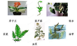 在一個類中的方法有哪些特點是什么