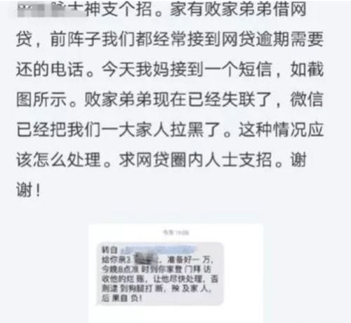 你知道哪些求助的方法或好的建議