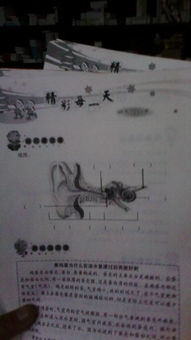 食鹽在水中溶解的實驗方法有哪些