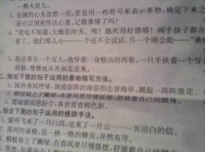 句子應(yīng)用的描寫方法有哪些