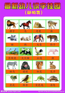 孩子識(shí)字有哪些好方法