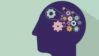 運(yùn)用圖像記憶方法有哪些