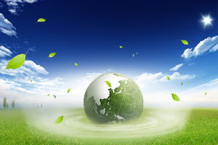 您知道有哪些環(huán)境保護(hù)的方法