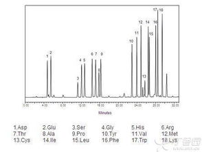 氨基酸分離有哪些方法