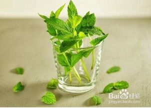 天氣熱有哪些解暑方法