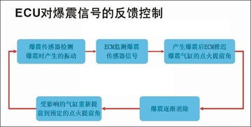 增強(qiáng)性功能最快的方法有哪些