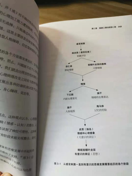 心理分析過(guò)程方法包括哪些