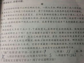 高老頭這篇文章運(yùn)用了哪些描寫方法