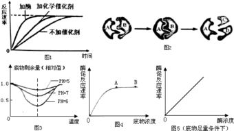 科學(xué)的分離方法有哪些特點
